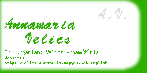 annamaria velics business card